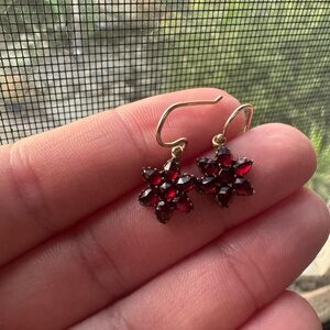 Elegant 14k hook garnet Flower Earrings